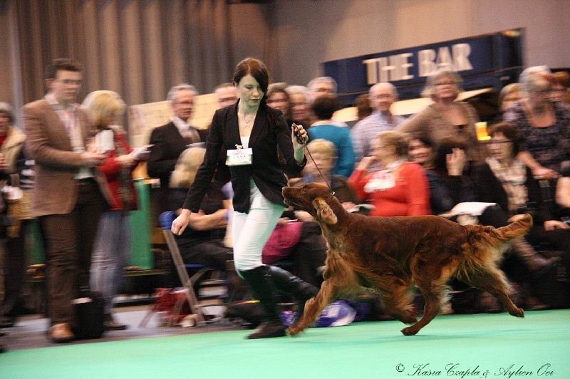 Crufts2011 843.jpg